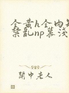全黄h全肉短篇禁乱np慕浅浅