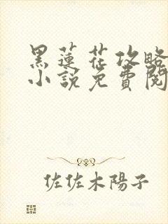 黑莲花攻略手册小说免费阅读封面