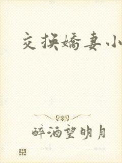 交换娇妻小说