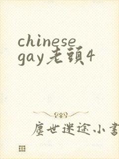 chinesegay老头4封面