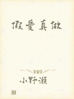 假爱真做