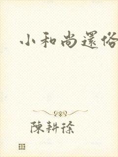 小和尚还俗记