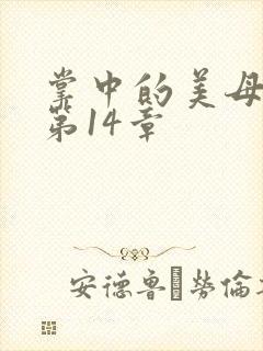掌中的美母版主第14章封面