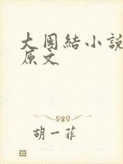 大团结小说阅读原文