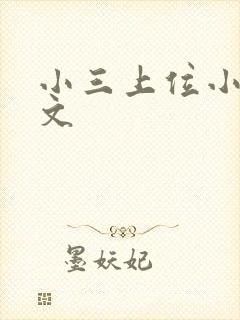 小三上位小说全文封面