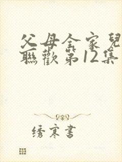 父母全家儿女大联欢第12集封面