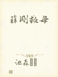 薛刚救母