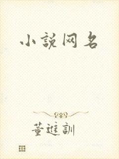 小说网名