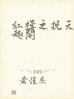 红楼之挽天倾笔趣阁