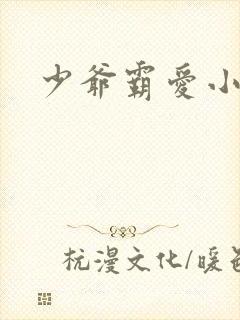 少爷霸爱小丫头