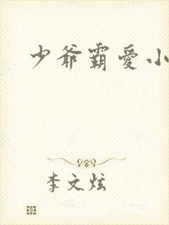 少爷霸爱小丫头