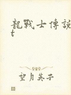 龙战士传说txt