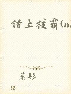 错上校霸(n)