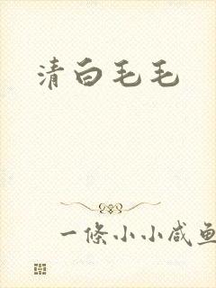 清白毛毛