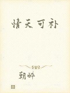 情天可补