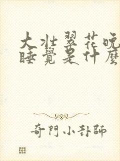 大壮翠花晚上不睡觉是什么电视剧封面