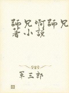 师兄啊师兄的原著小说封面