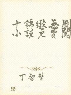 十锦缎无删原著小说免费阅读封面