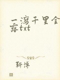 一泻千里金银花露txt