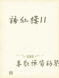 诱红楼11