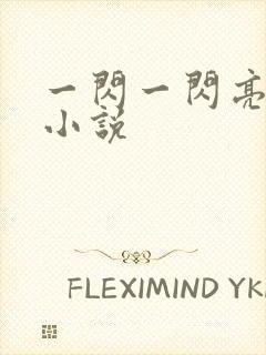 一闪一闪亮星星小说封面