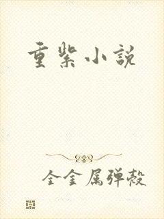重紫小说
