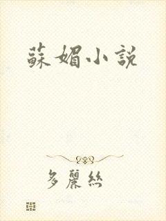苏媚小说