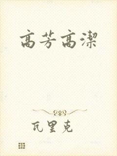 高芳高洁封面