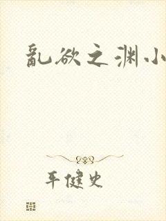 乱欲之渊小说封面