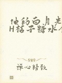 他的白月光HVH桔子糖水全文