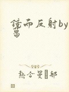镜面反射by九葛封面