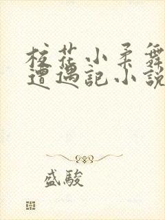 校花小柔舞蹈室遭遇记小说封面