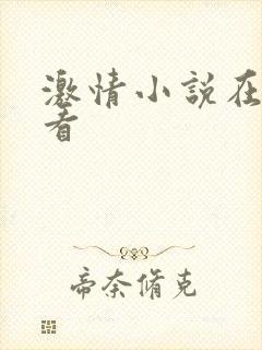 激情小说在线观看封面