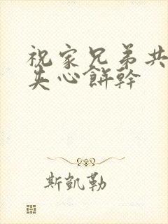 祝家兄弟共享后夹心饼干