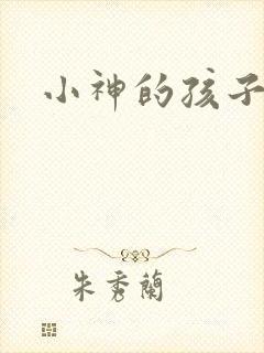 小神的孩子们封面