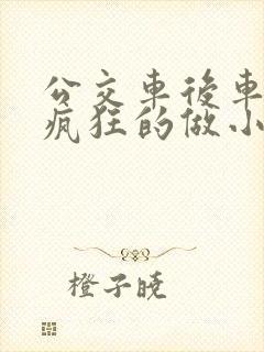 公交车后车座的疯狂的做小