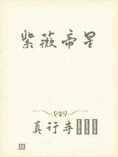 紫薇帝星封面