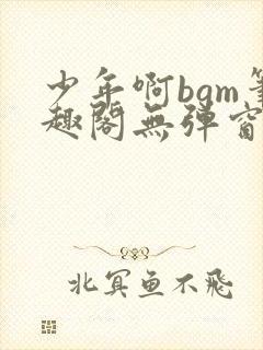 少年啊bgm笔趣阁无弹窗免费