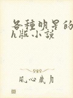 各种明星的综艺h版小说