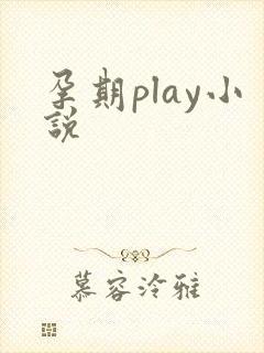孕期play小说