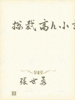 总裁高h小说