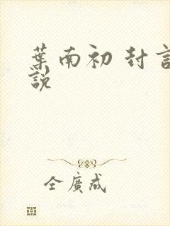 叶南初 封言小说