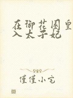 在御花园皇上进入太子妃封面