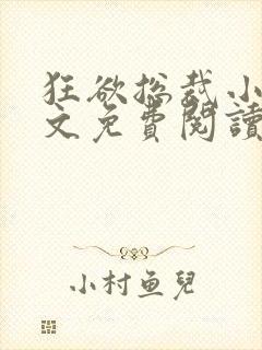 狂欲总裁小说全文免费阅读封面