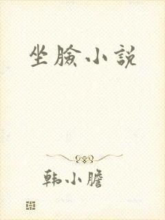 坐脸小说