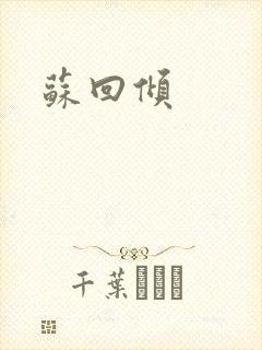 苏回倾封面