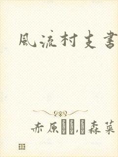 风流村支书