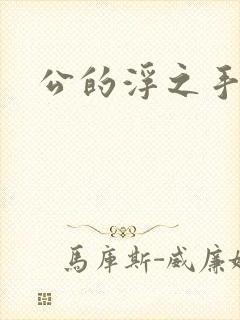 公的浮之手中字