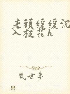 老头缓缓沉腰进入校花h