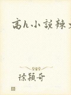 高h小说辣文封面